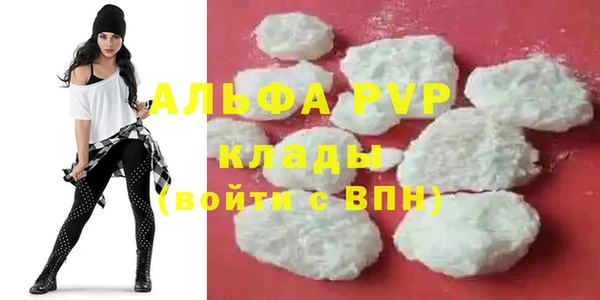 ешки Богданович